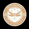 FC Evolution